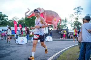 BIB: 
                            <button type="button" onclick="openModal(26551684)" class="btn btn-primary btn-sm float-right btn-popup" data-toggle="modal" data-target=".modal-high-quality">
                        <i class="fas fa-shopping-cart"></i> Add to Cart
                    </button>
                                            <button type="button" onclick="isThisMe(26551684, true)" class="btn btn-success btn-sm float-right btn-popup btn-isme hidden" data-toggle="tooltip" data-placement="bottom" title="นี่คือรูปของคุณใช่ไหม คลิกที่นี่เพื่อเอาเข้าอัลบั้ม">
                        <i class="fas fa-plus"></i> Add to album
                    </button>
                    <button type="button" onclick="isThisMe(26551684, false)" class="btn btn-warning btn-sm float-right btn-popup btn-isnotme hidden">
                        <i class="fas fa-ban"></i> Remove from album
                    </button>